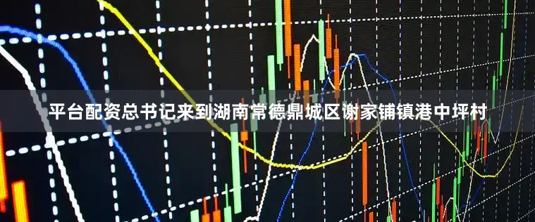 平台配资总书记来到湖南常德鼎城区谢家铺镇港中坪村