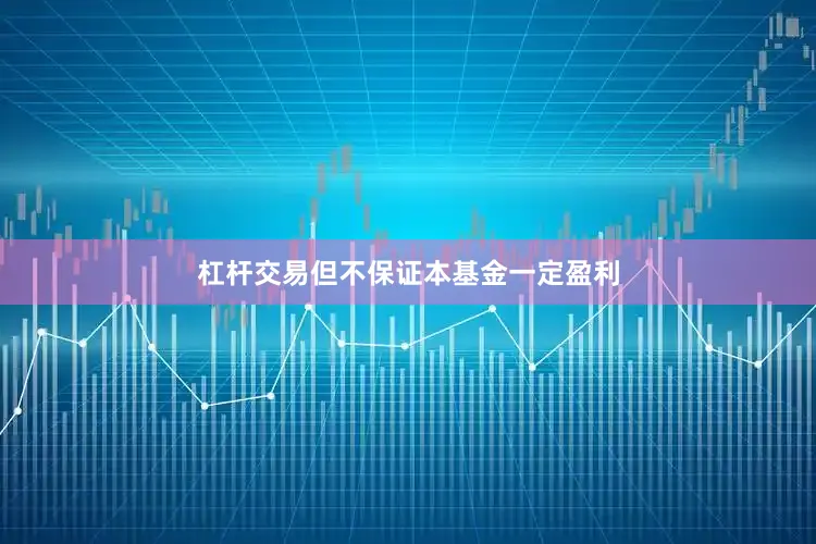 杠杆交易但不保证本基金一定盈利