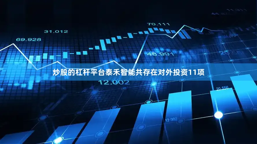炒股的杠杆平台泰禾智能共存在对外投资11项