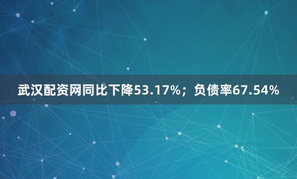 武汉配资网同比下降53.17%；负债率67.54%