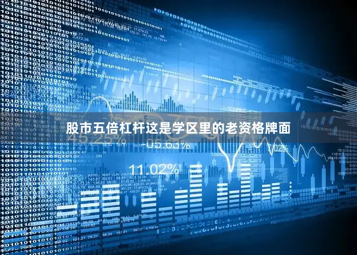 股市五倍杠杆这是学区里的老资格牌面