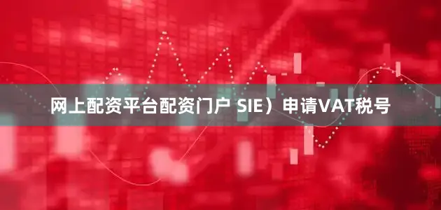 网上配资平台配资门户 SIE）申请VAT税号