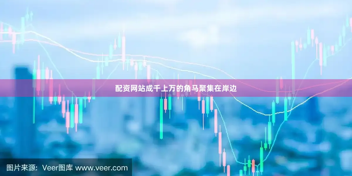 配资网站成千上万的角马聚集在岸边